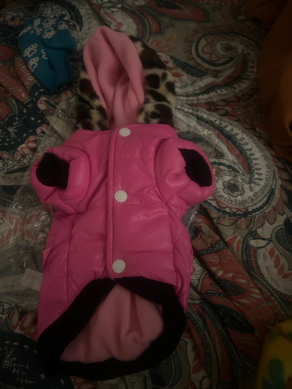 BNWT Amazon Pink Puffer Dog Jacket with Leopard Hood Trim size S
